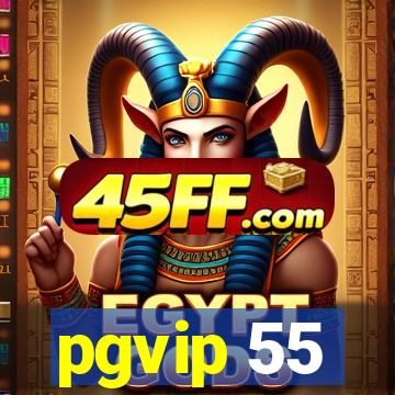 pgvip 55